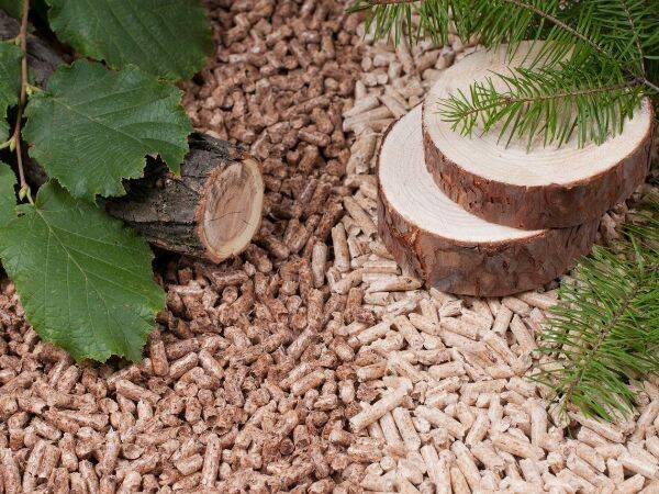 Biomasa - odpowiedzialne wykorzystywanie surowców